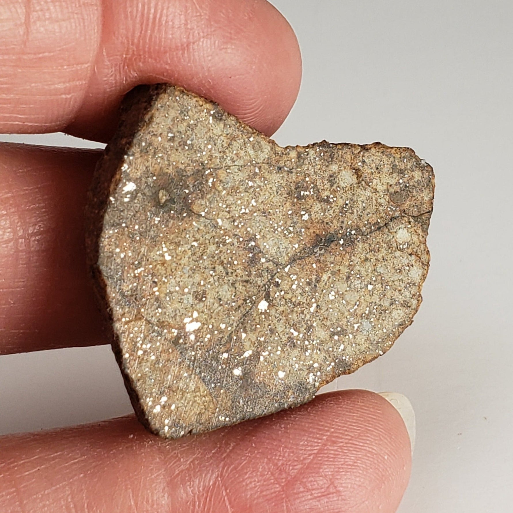  Northwest Africa NWA Meteorite | 10.57 Grams | Slice | Sahara | SO24 5