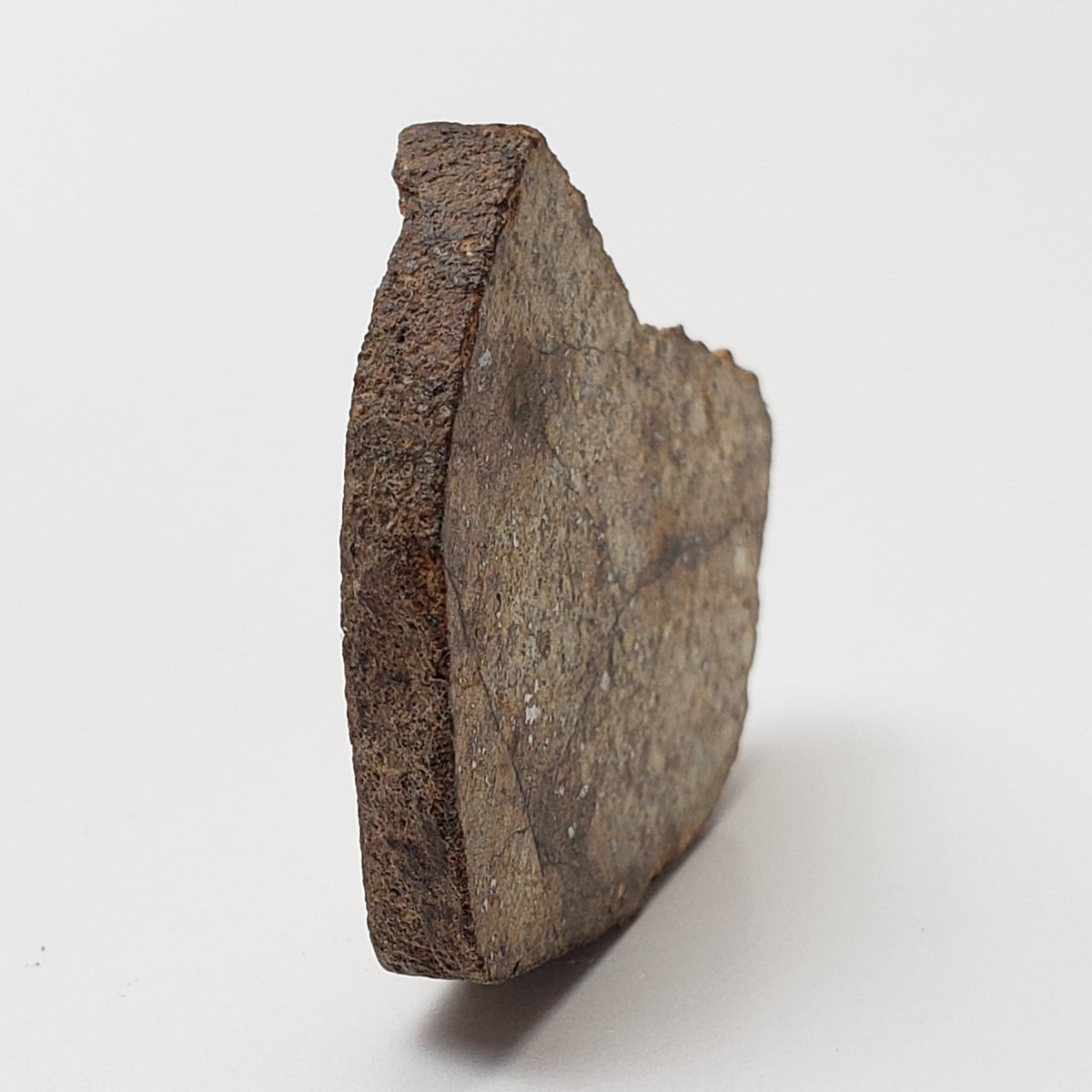  Northwest Africa NWA Meteorite | 10.57 Grams | Slice | Sahara | SO24 6