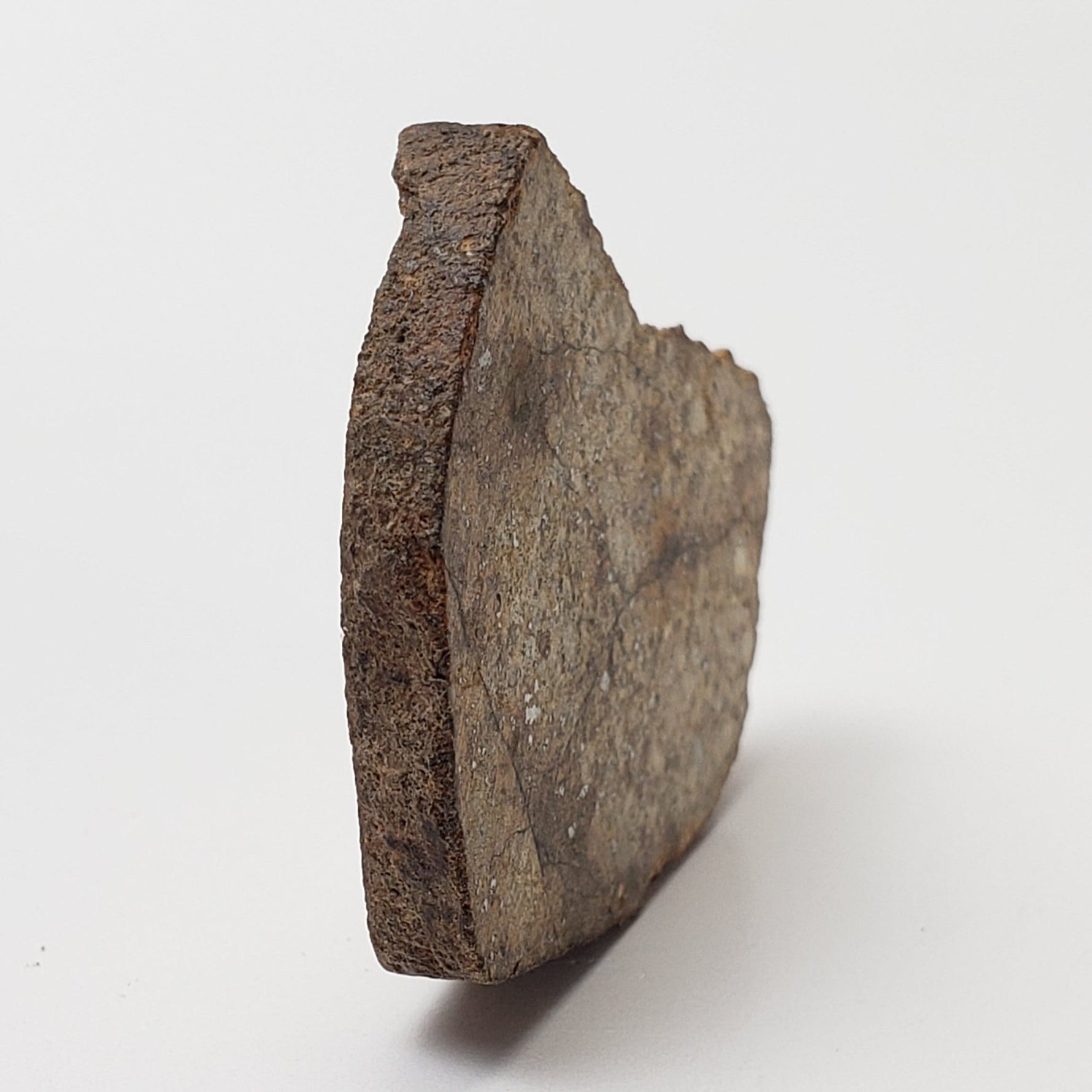  Northwest Africa NWA Meteorite | 10.57 Grams | Slice | Sahara | SO24 6