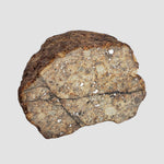  Northwest Africa NWA Meteorite | 10.7 Grams | End Cut | Sahara 4