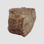  Northwest Africa NWA Meteorite | 10.7 Grams | End Cut | Sahara 3