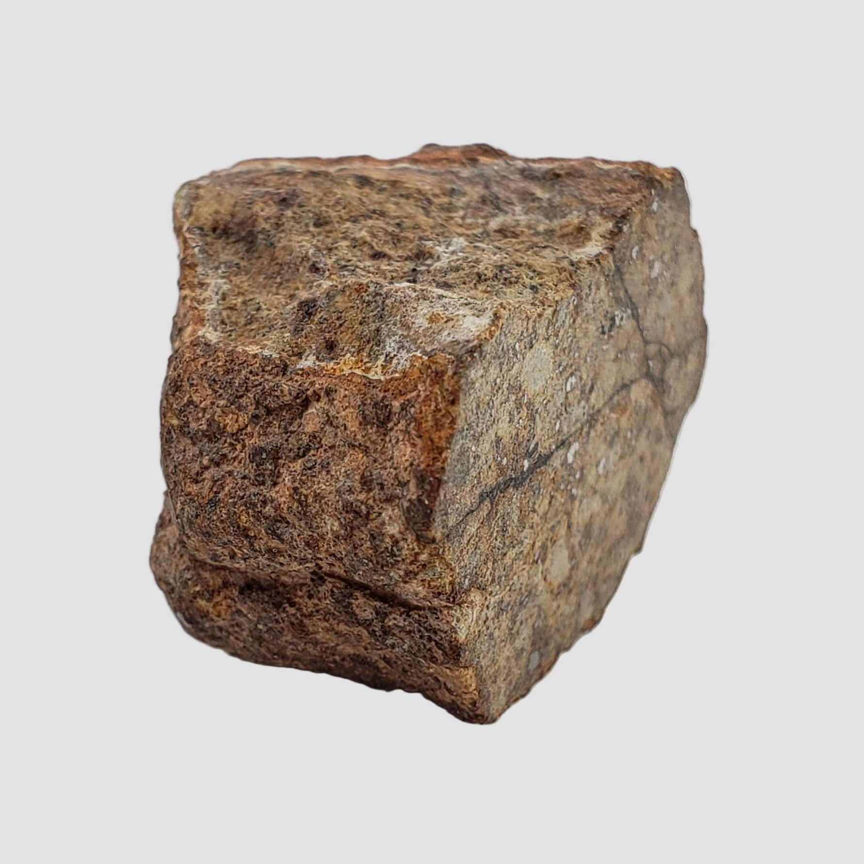  Northwest Africa NWA Meteorite | 10.7 Grams | End Cut | Sahara 3