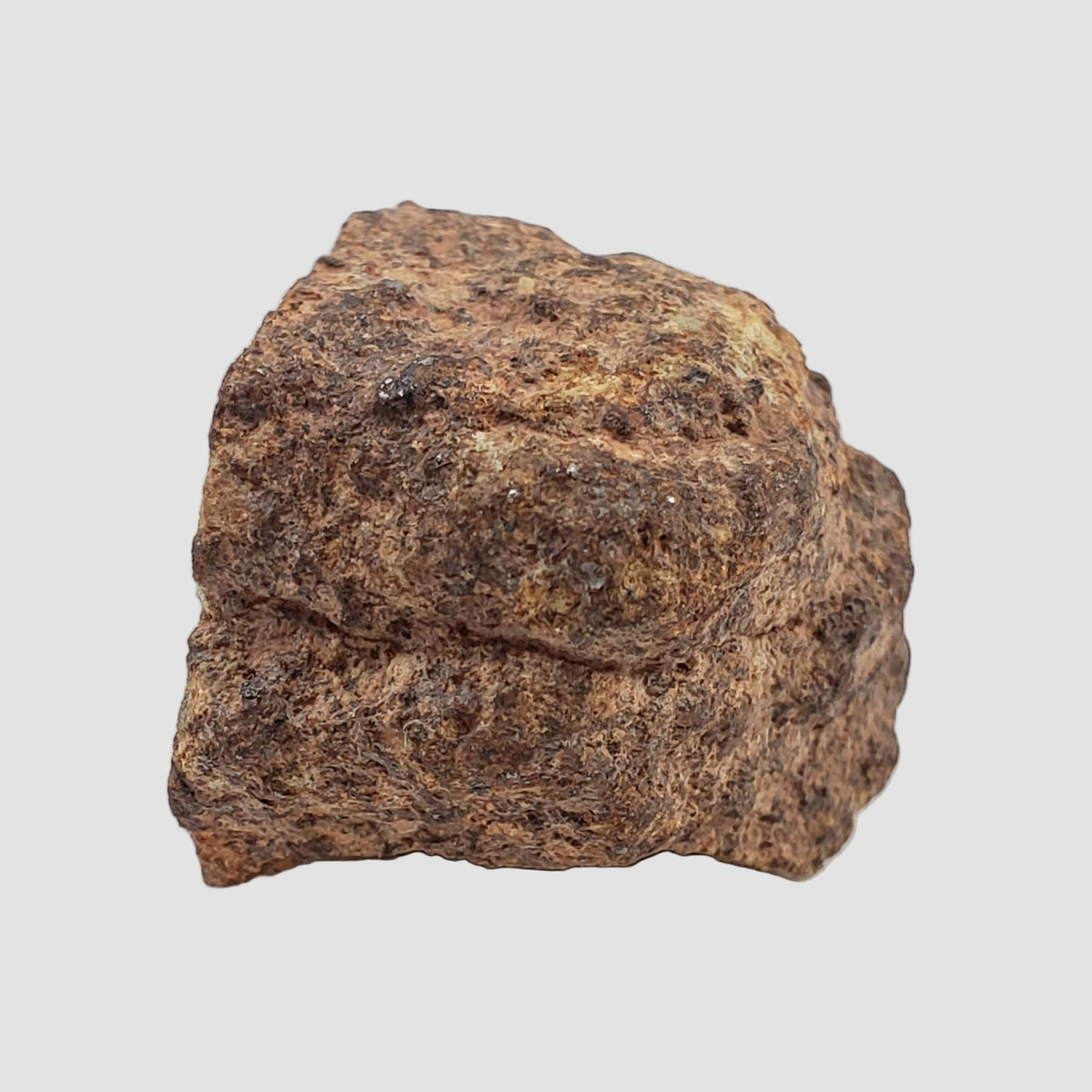  Northwest Africa NWA Meteorite | 10.7 Grams | End Cut | Sahara 1