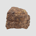  Northwest Africa NWA Meteorite | 10.7 Grams | End Cut | Sahara 1