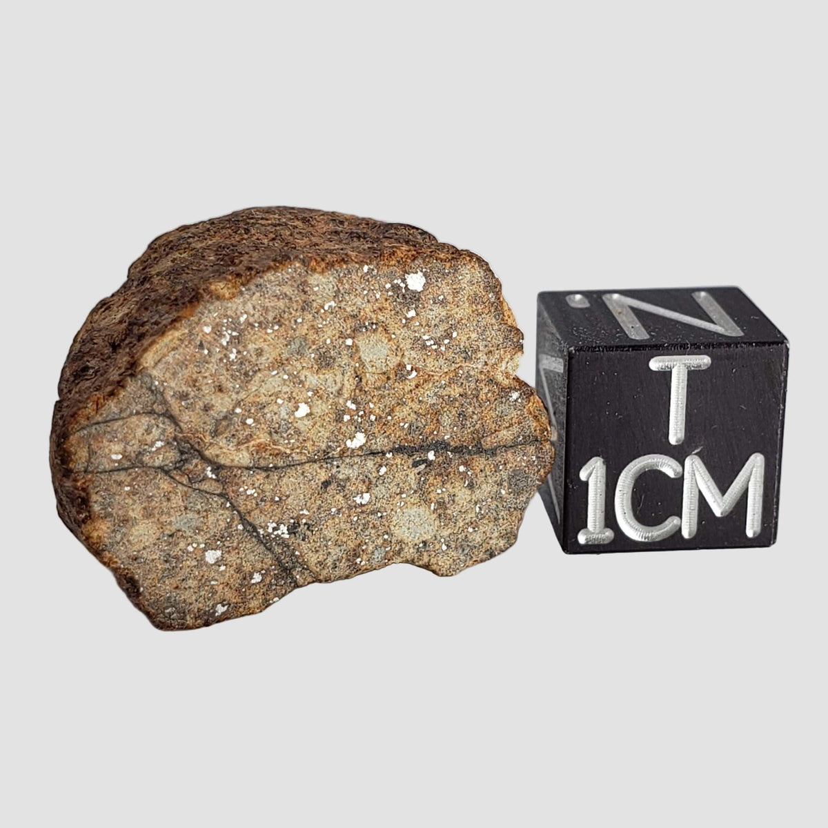  Northwest Africa NWA Meteorite | 10.7 Grams | End Cut | Sahara 