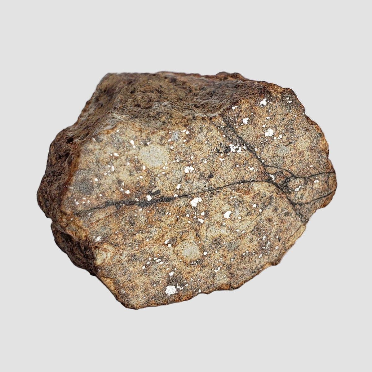  Northwest Africa NWA Meteorite | 10.7 Grams | End Cut | Sahara 2