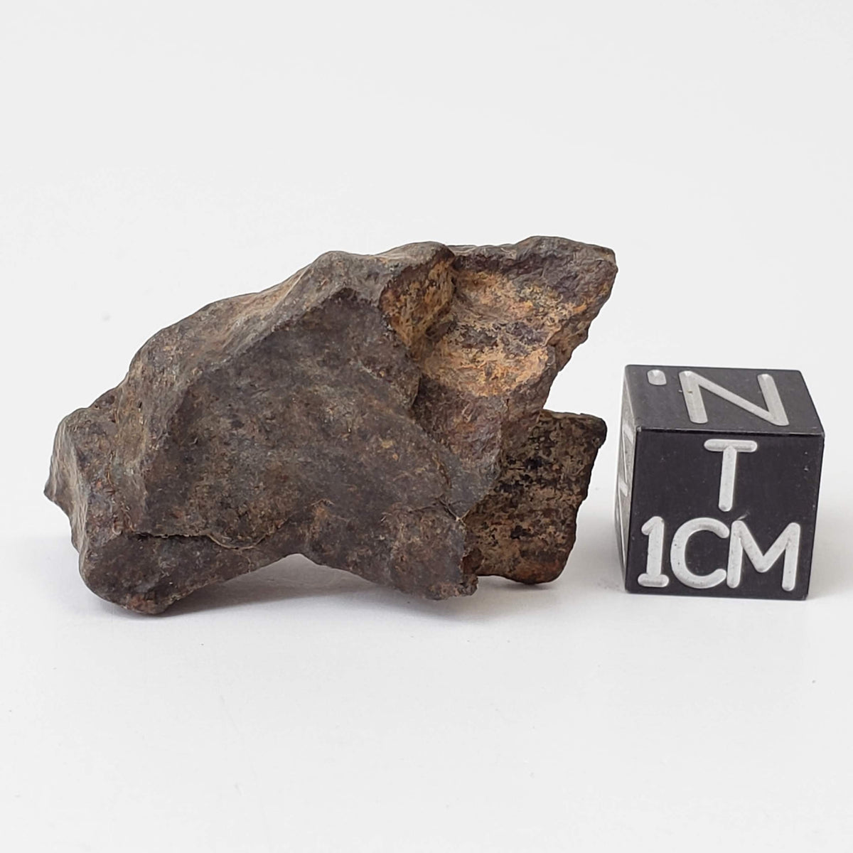  Northwest Africa NWA Meteorite | 10.9 Grams | Individual Fragment | Sahara 