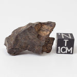  Northwest Africa NWA Meteorite | 10.9 Grams | Individual Fragment | Sahara 