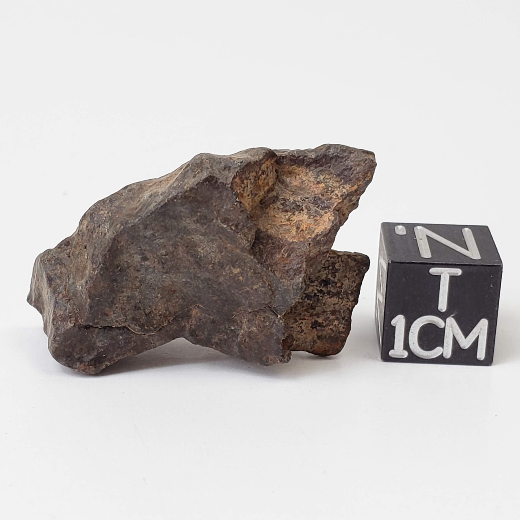  Northwest Africa NWA Meteorite | 10.9 Grams | Individual Fragment | Sahara 