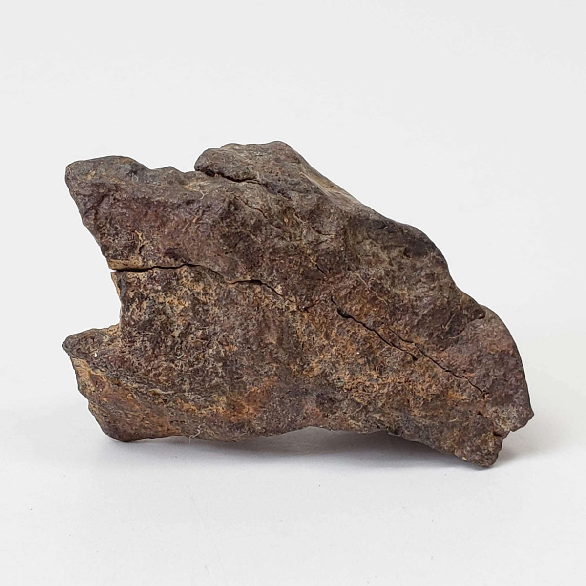  Northwest Africa NWA Meteorite | 10.9 Grams | Individual Fragment | Sahara 1