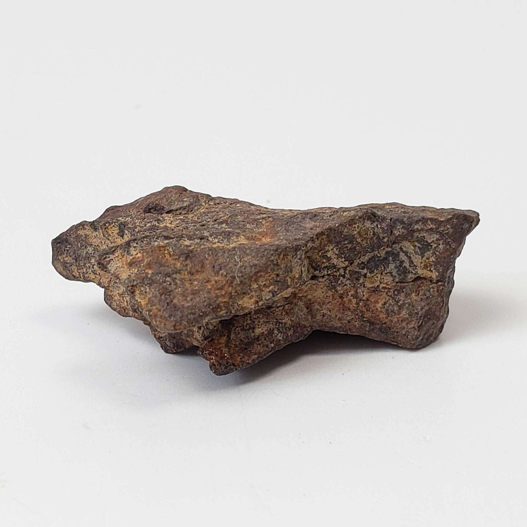  Northwest Africa NWA Meteorite | 10.9 Grams | Individual Fragment | Sahara 2