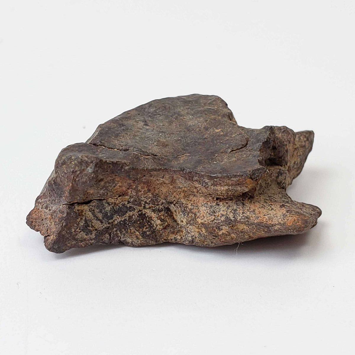  Northwest Africa NWA Meteorite | 10.9 Grams | Individual Fragment | Sahara 3