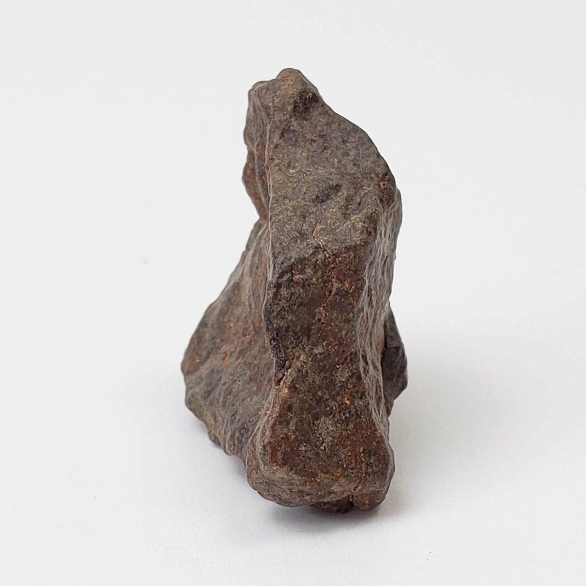  Northwest Africa NWA Meteorite | 11.8 Grams | Individual Fragment | Sahara 2