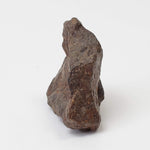  Northwest Africa NWA Meteorite | 11.8 Grams | Individual Fragment | Sahara 2