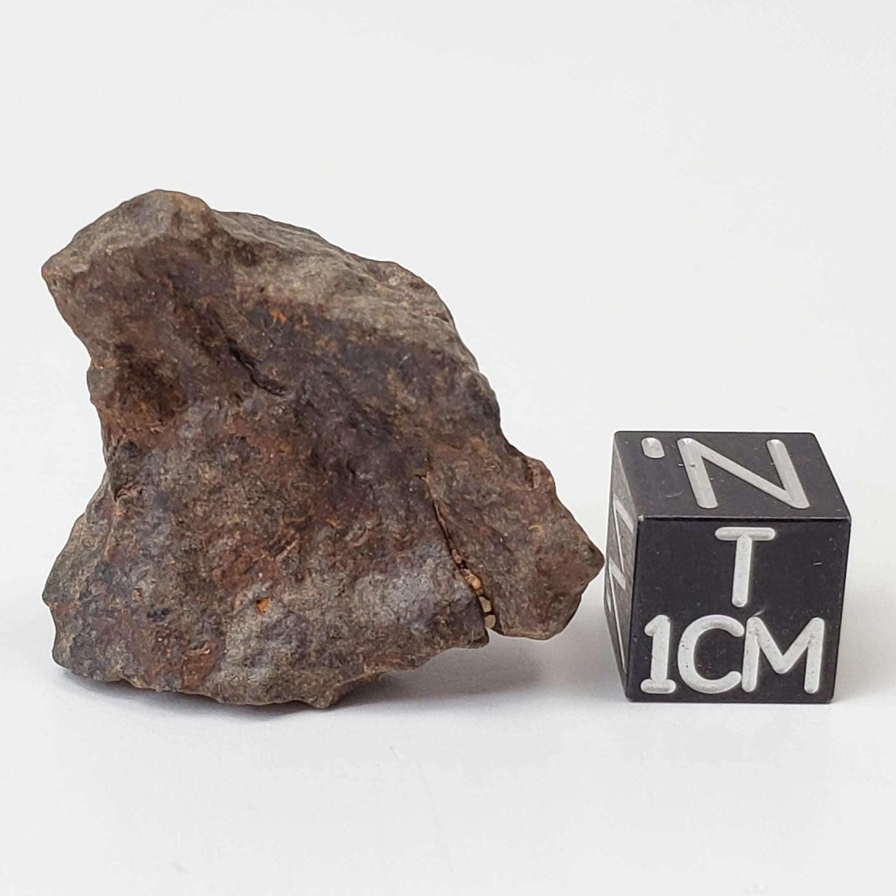  Northwest Africa NWA Meteorite | 11.8 Grams | Individual Fragment | Sahara 