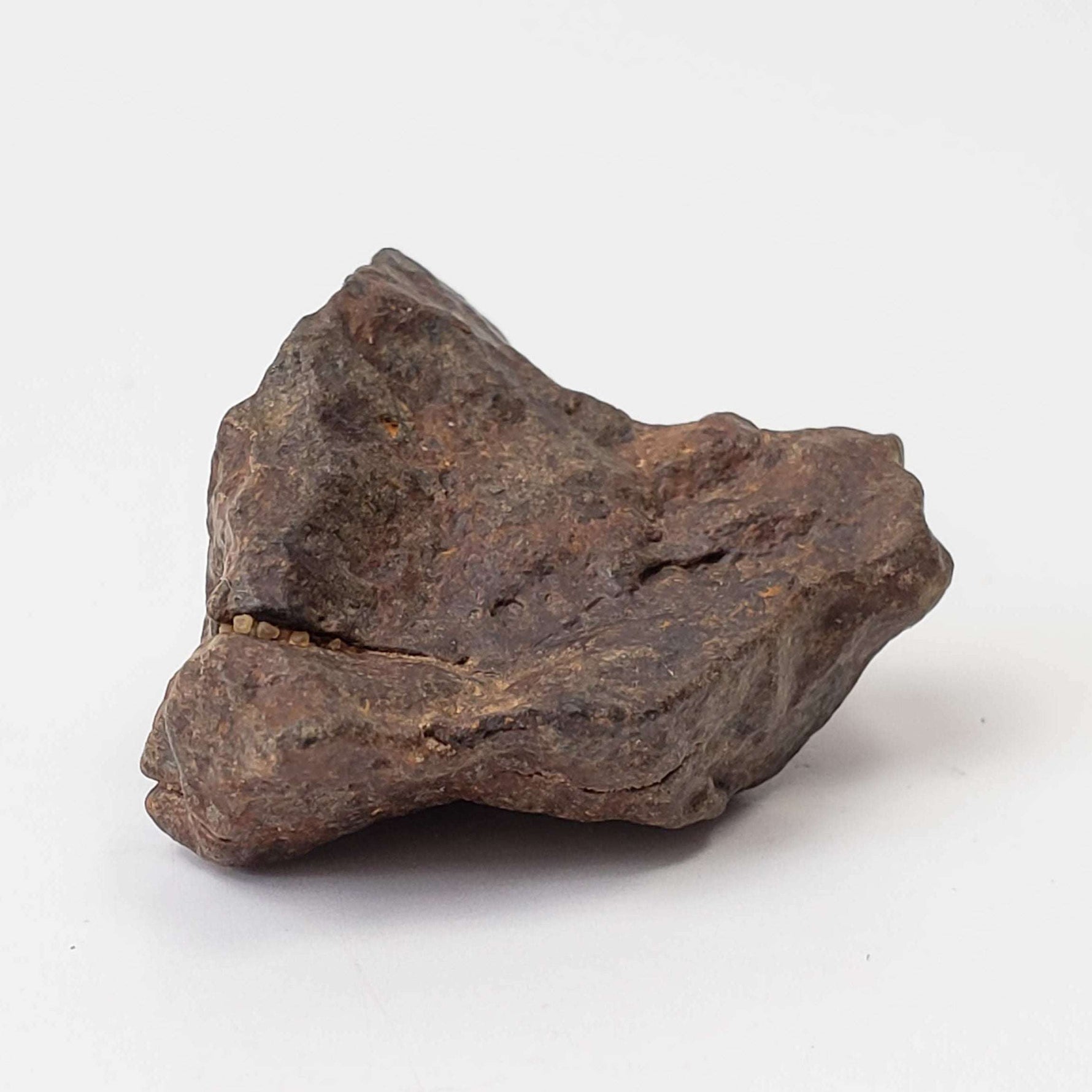  Northwest Africa NWA Meteorite | 11.8 Grams | Individual Fragment | Sahara 3