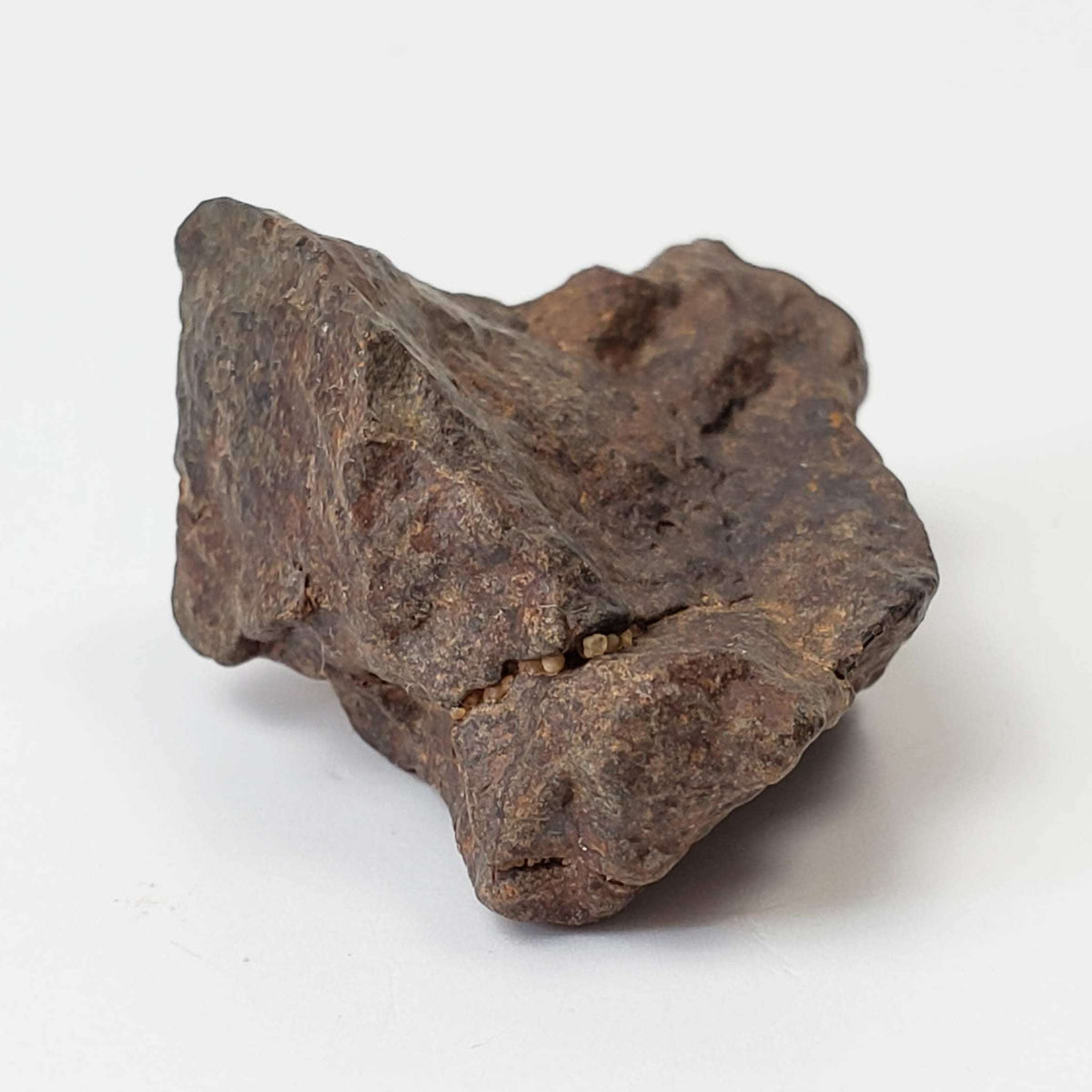  Northwest Africa NWA Meteorite | 11.8 Grams | Individual Fragment | Sahara 5