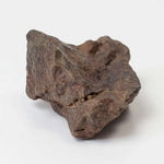  Northwest Africa NWA Meteorite | 11.8 Grams | Individual Fragment | Sahara 5