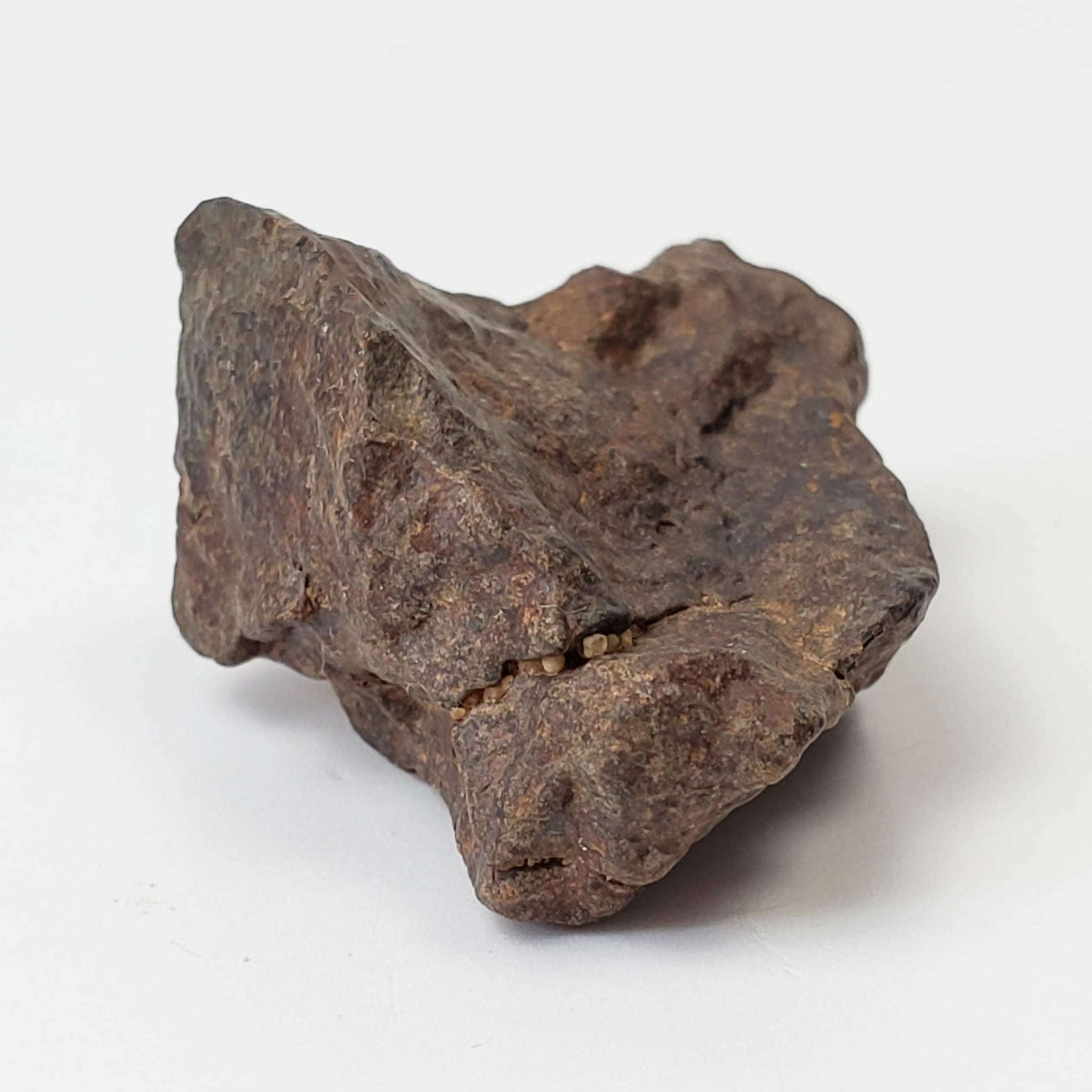  Northwest Africa NWA Meteorite | 11.8 Grams | Individual Fragment | Sahara 5