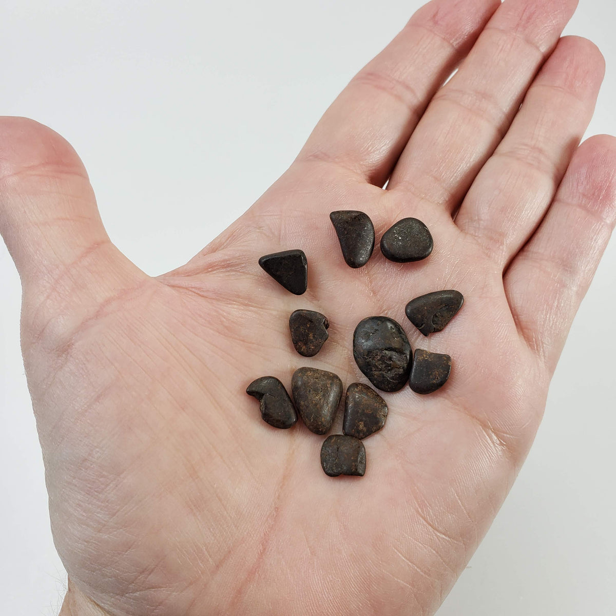  Northwest Africa NWA Meteorite | 11 Piece Lot | 8 Grams | Tumbled Individuals | Sahara 6