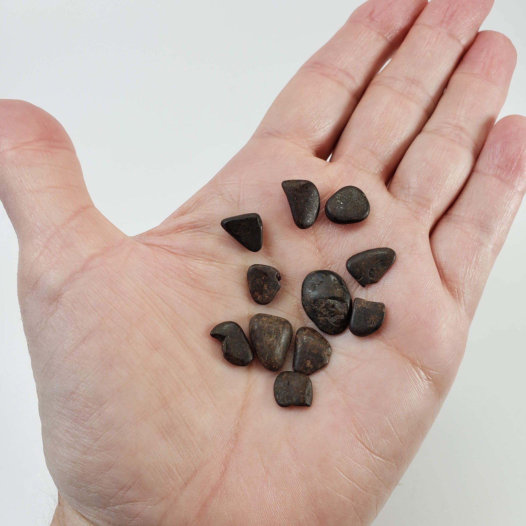 Northwest Africa NWA Meteorite | 11 Piece Lot | 8 Grams | Tumbled Individuals | Sahara 6