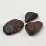  Northwest Africa NWA Meteorite | 11 Piece Lot | 8 Grams | Tumbled Individuals | Sahara 3