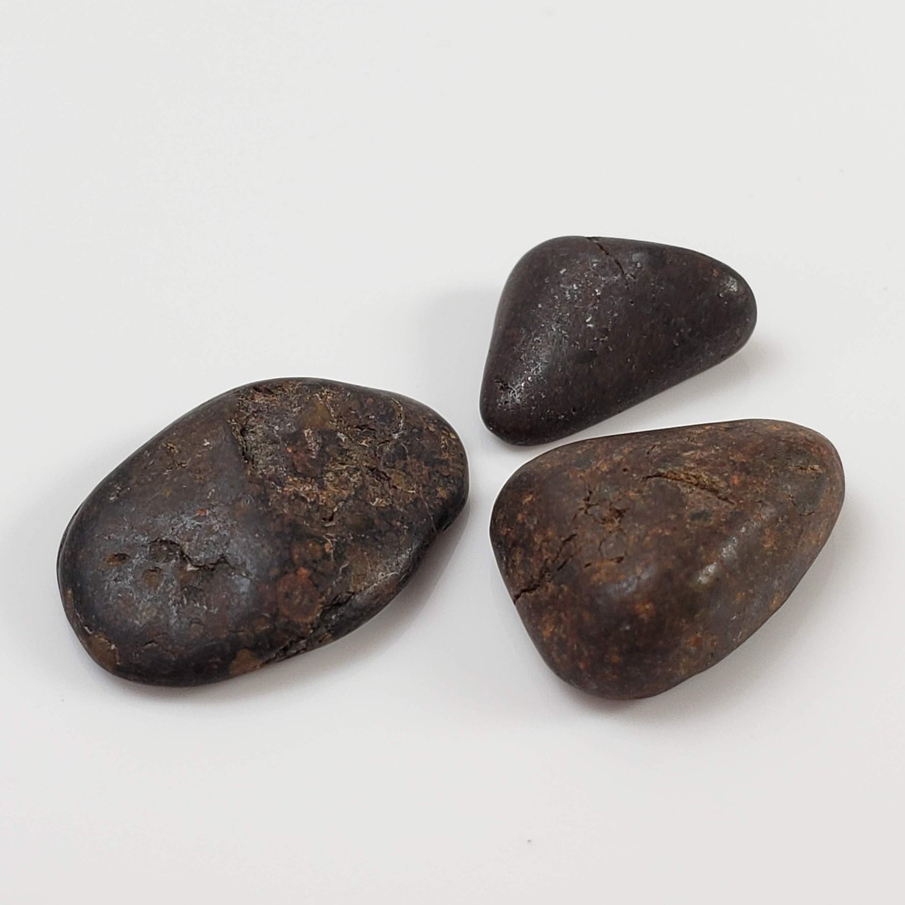  Northwest Africa NWA Meteorite | 11 Piece Lot | 8 Grams | Tumbled Individuals | Sahara 3