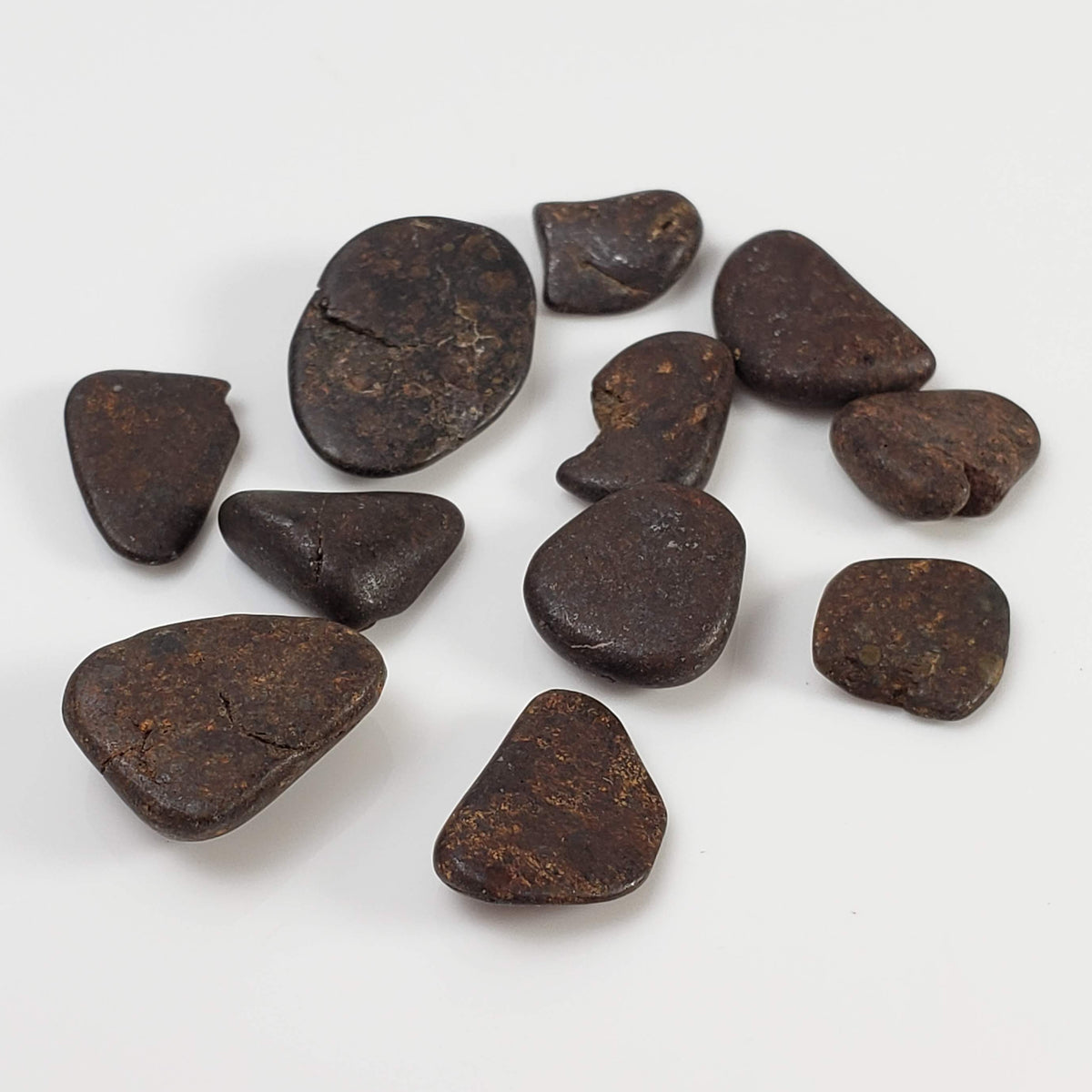  Northwest Africa NWA Meteorite | 11 Piece Lot | 8 Grams | Tumbled Individuals | Sahara 1