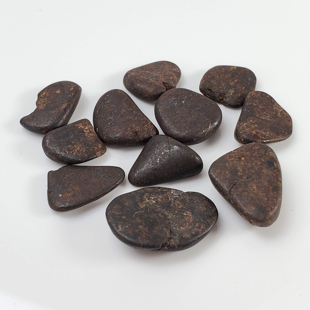  Northwest Africa NWA Meteorite | 11 Piece Lot | 8 Grams | Tumbled Individuals | Sahara 2
