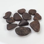  Northwest Africa NWA Meteorite | 11 Piece Lot | 8 Grams | Tumbled Individuals | Sahara 2