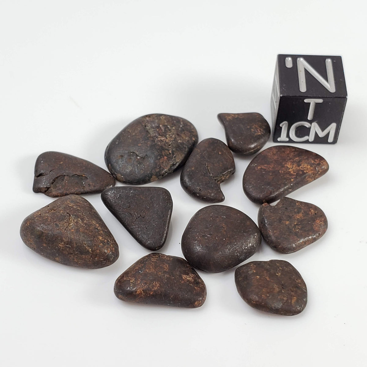  Northwest Africa NWA Meteorite | 11 Piece Lot | 8 Grams | Tumbled Individuals | Sahara 