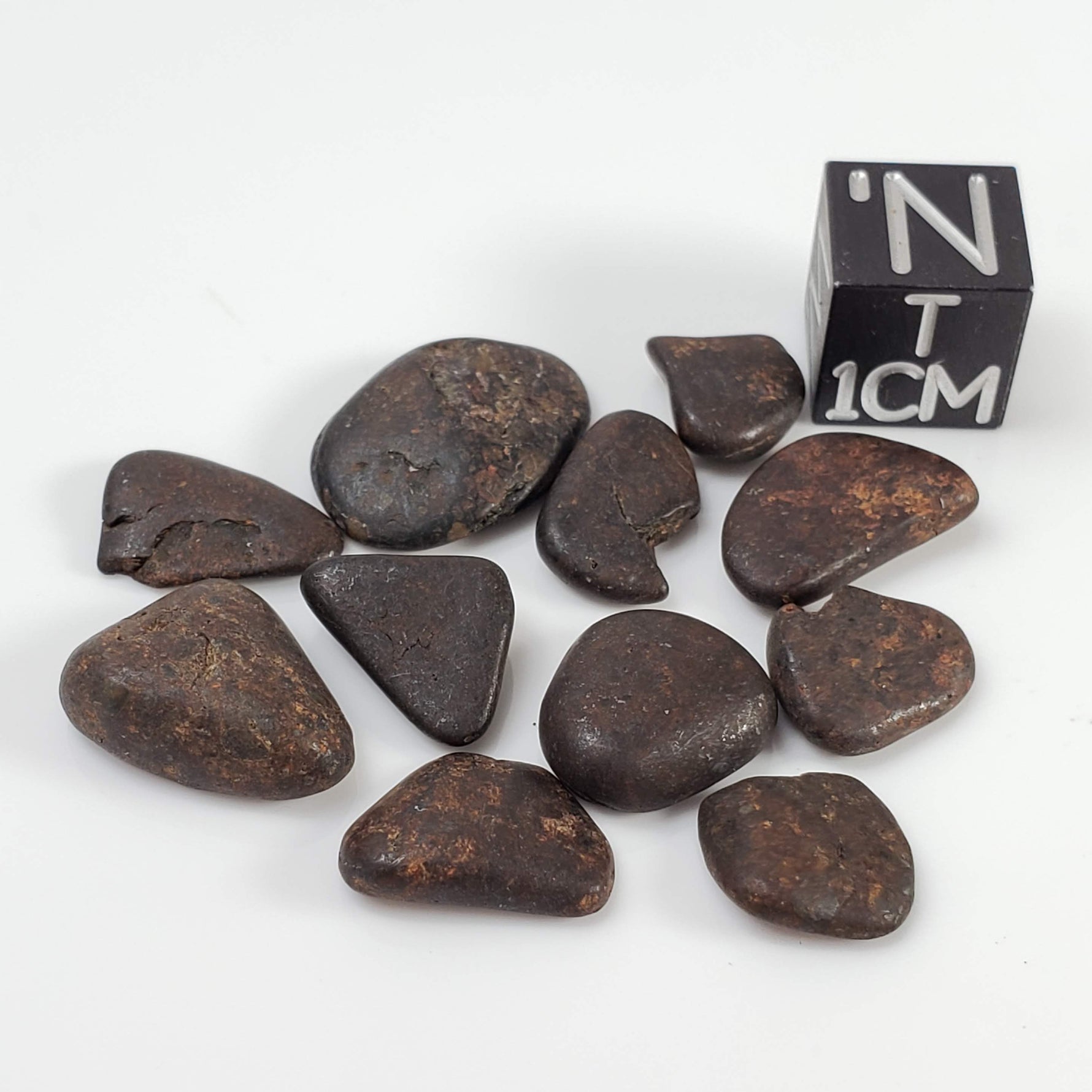  Northwest Africa NWA Meteorite | 11 Piece Lot | 8 Grams | Tumbled Individuals | Sahara 