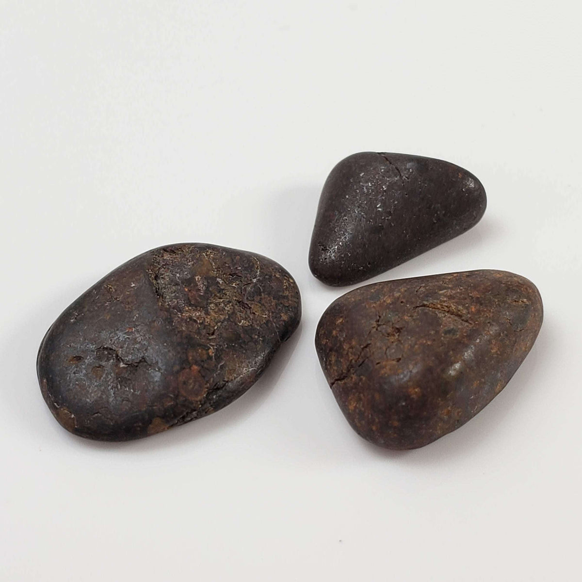  Northwest Africa NWA Meteorite | 11 Piece Lot | 8 Grams | Tumbled Individuals | Sahara 3