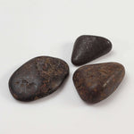  Northwest Africa NWA Meteorite | 11 Piece Lot | 8 Grams | Tumbled Individuals | Sahara 3