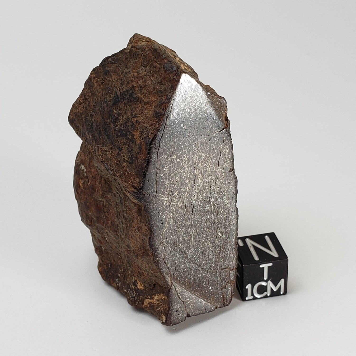  Northwest Africa NWA Meteorite | 110.2 Grams | End Cut | Sahara | SO24 