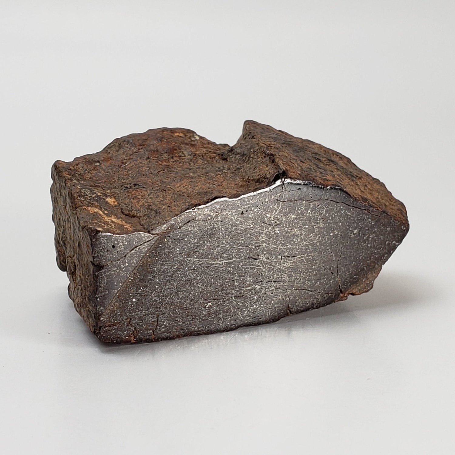  Northwest Africa NWA Meteorite | 110.2 Grams | End Cut | Sahara | SO24 1