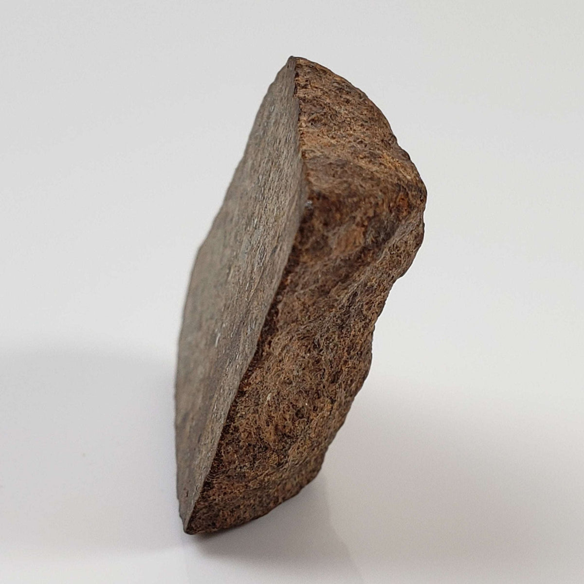  Northwest Africa NWA Meteorite | 12 Grams | End Cut | Sahara 4