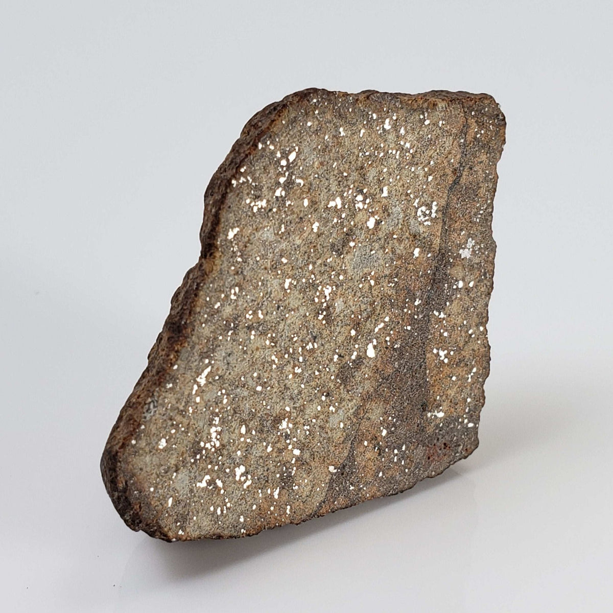  Northwest Africa NWA Meteorite | 12 Grams | End Cut | Sahara 5