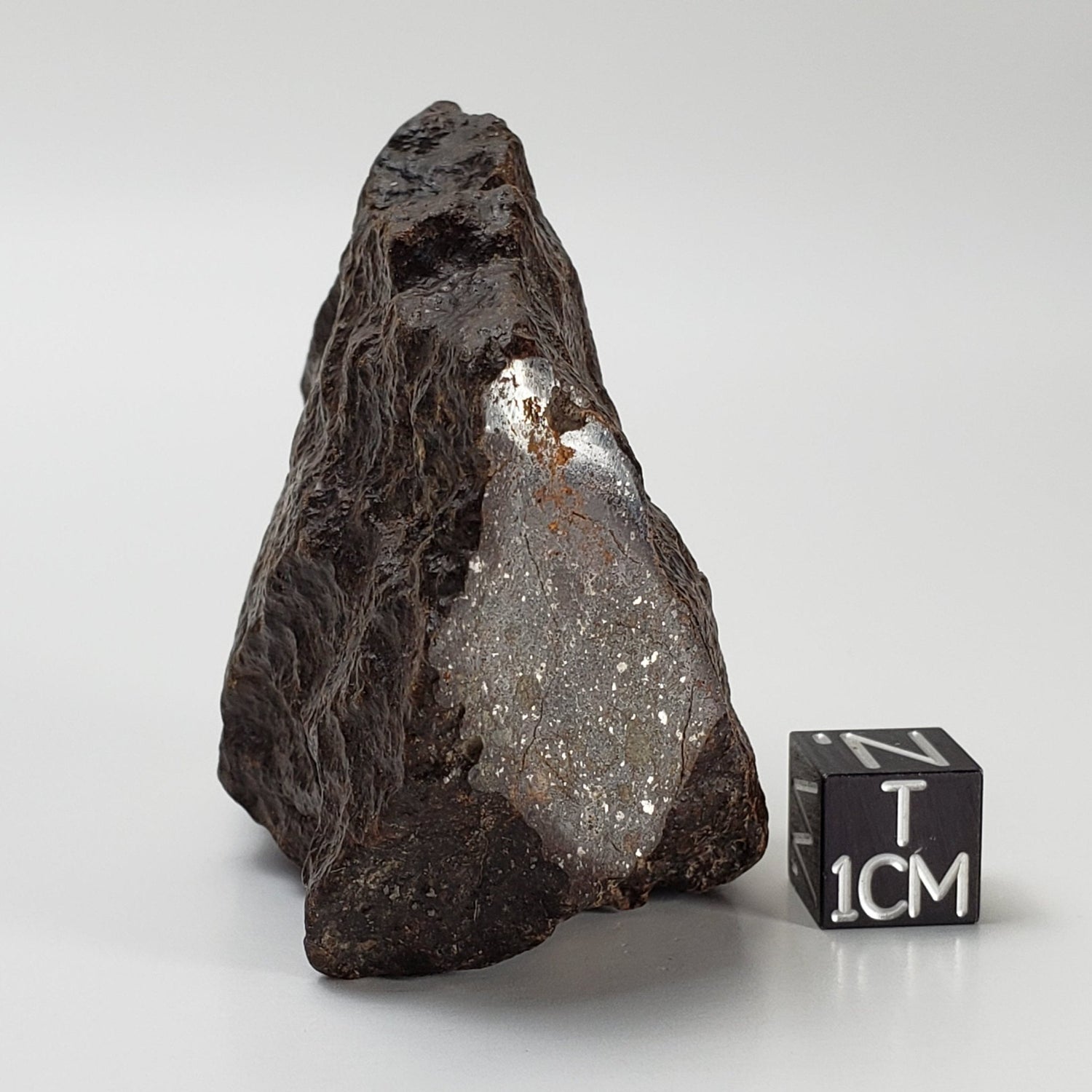  Northwest Africa NWA Meteorite | 126.9 Grams | End Cut | Sahara | SO24 