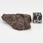 Northwest Africa NWA Meteorite | 13.7 Grams | Individual Fragment | Sahara 0