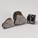  Northwest Africa NWA Meteorite | 13.9 Grams | Two part Cut | Sahara | SO24 