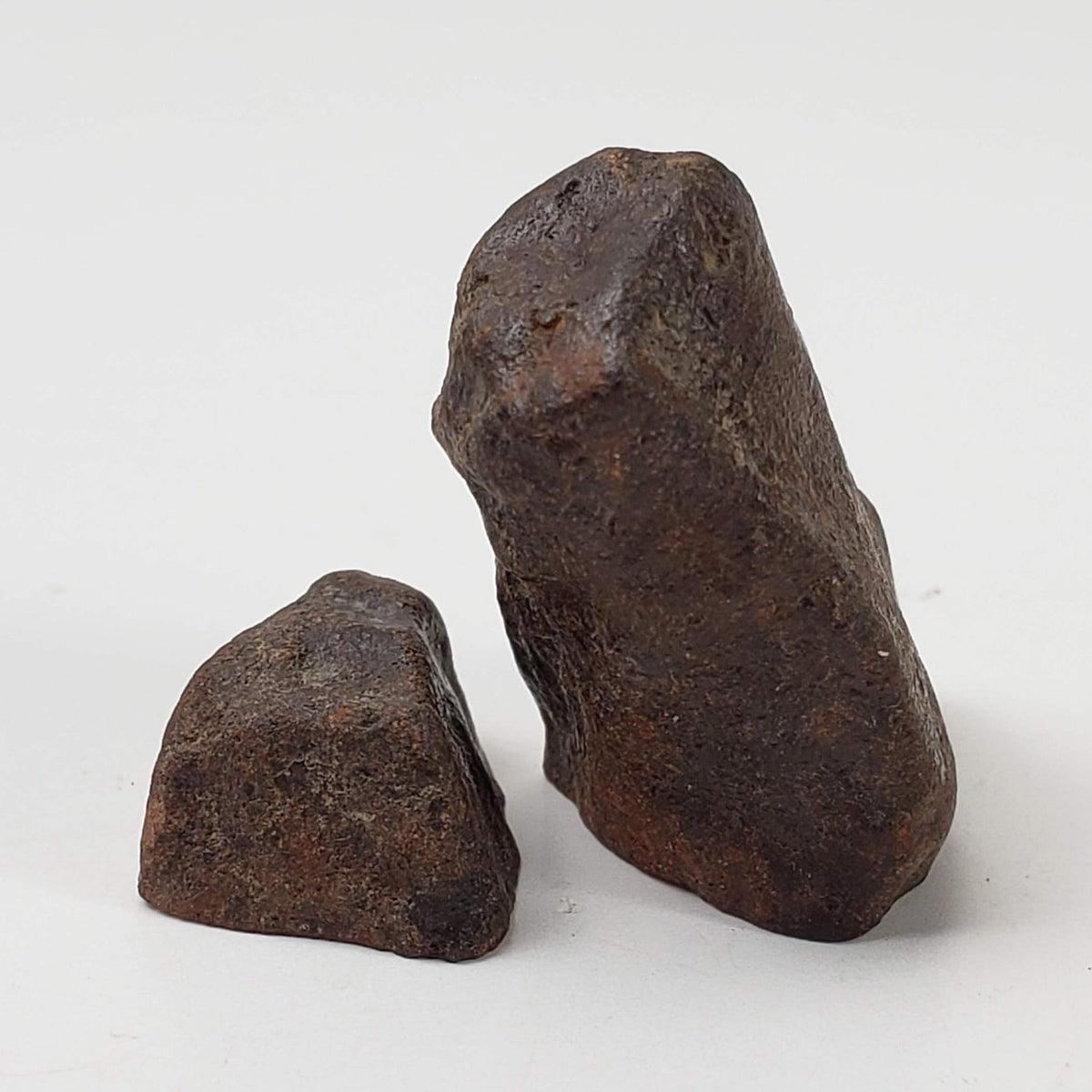  Northwest Africa NWA Meteorite | 13.9 Grams | Two part Cut | Sahara | SO24 3