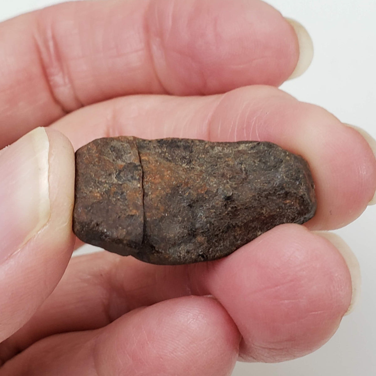  Northwest Africa NWA Meteorite | 13.9 Grams | Two part Cut | Sahara | SO24 5