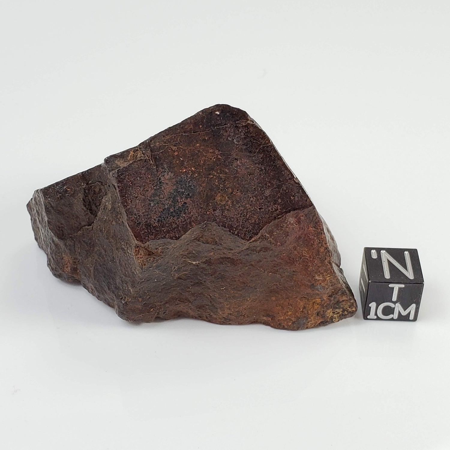  Northwest Africa NWA Meteorite | 142.4 Grams | End Cut | Sahara 