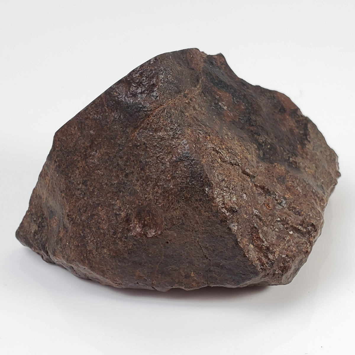  Northwest Africa NWA Meteorite | 142.4 Grams | End Cut | Sahara 3