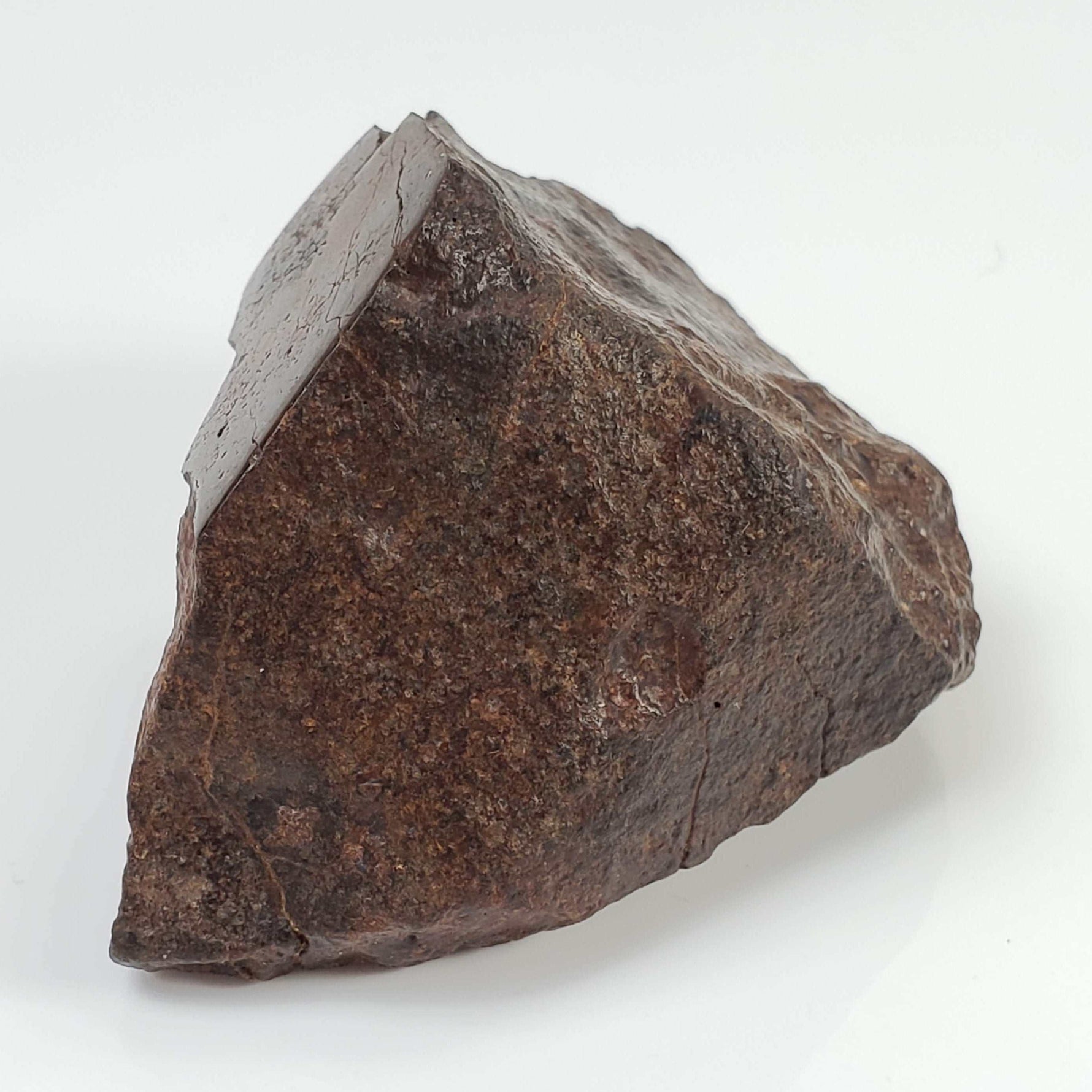  Northwest Africa NWA Meteorite | 142.4 Grams | End Cut | Sahara 5