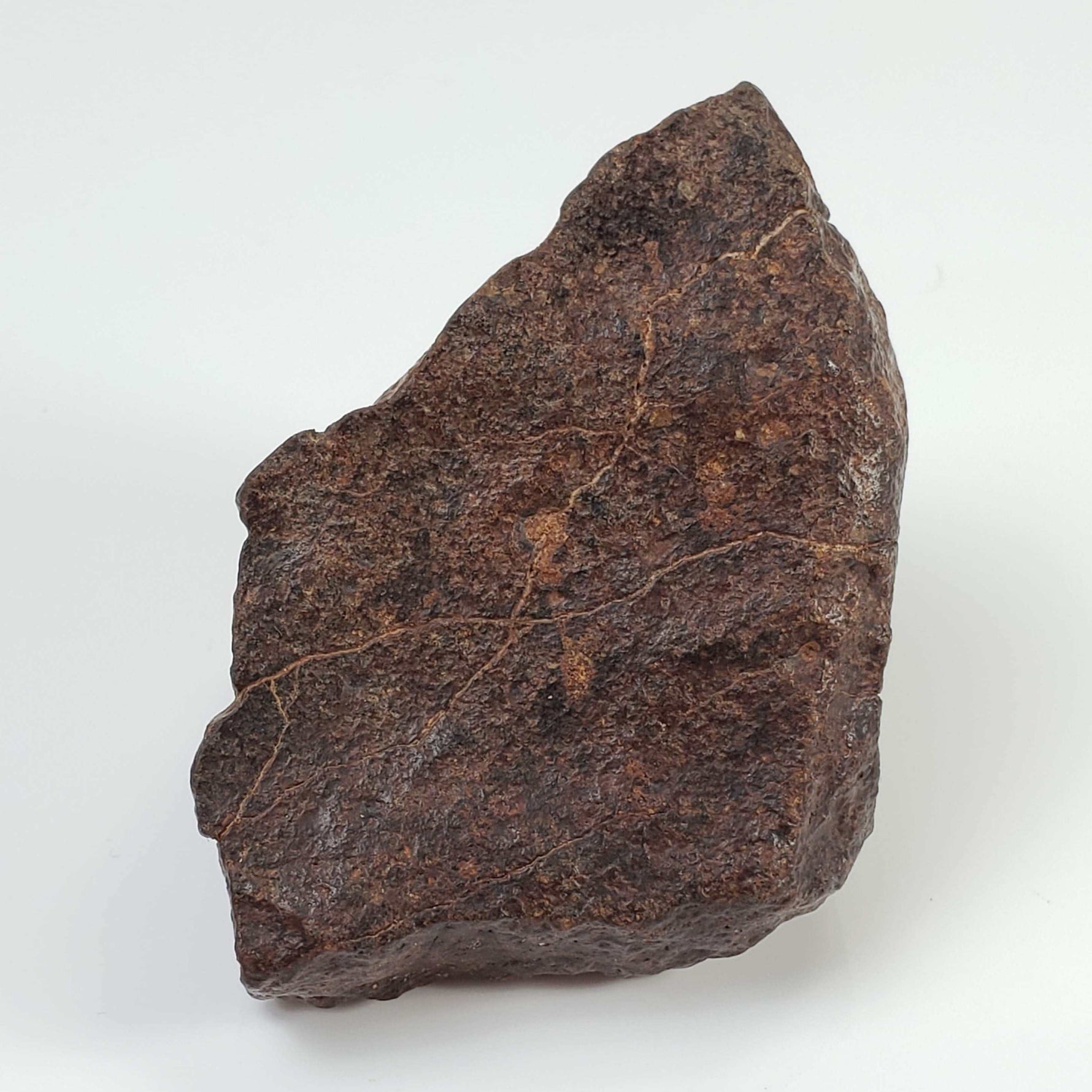  Northwest Africa NWA Meteorite | 142.4 Grams | End Cut | Sahara 6