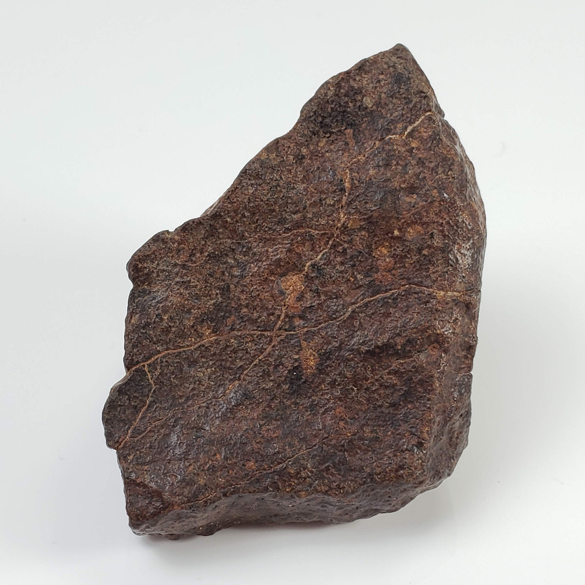  Northwest Africa NWA Meteorite | 142.4 Grams | End Cut | Sahara 6