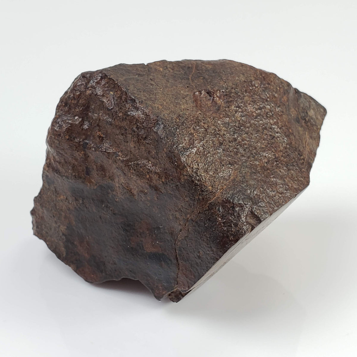  Northwest Africa NWA Meteorite | 142.4 Grams | End Cut | Sahara 8