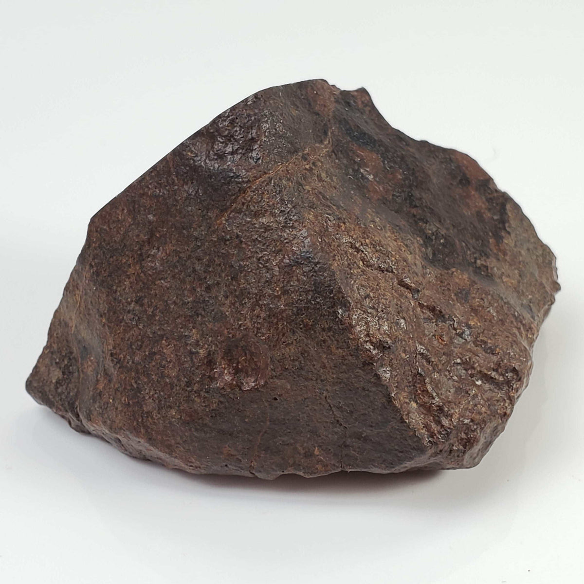  Northwest Africa NWA Meteorite | 142.4 Grams | End Cut | Sahara 3